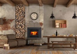 Quadra-Fire Expedition II Wood fireplace insert